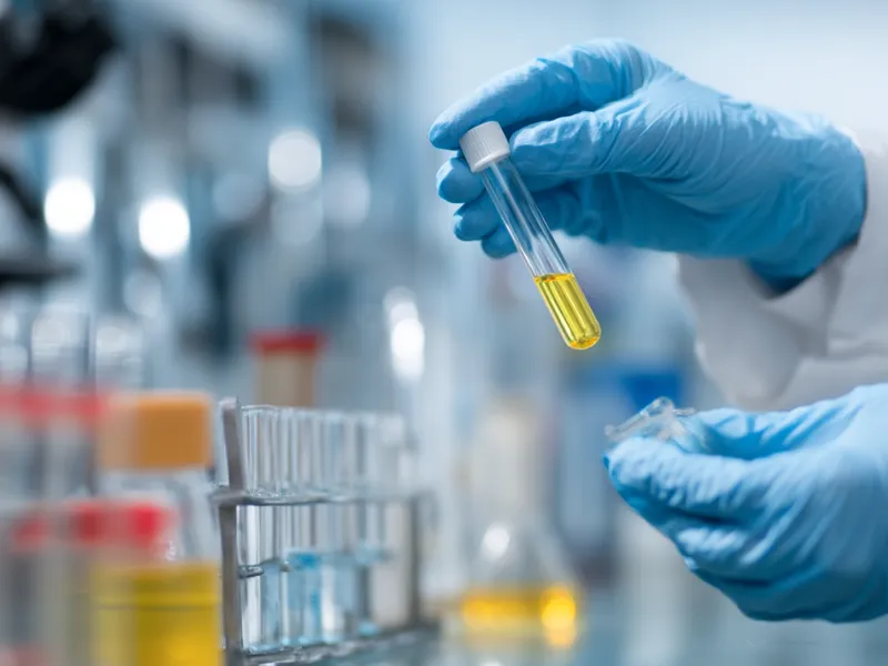 Formulation Development & Customization